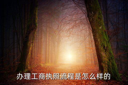 办理工商执照流程是怎么样的
