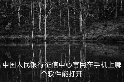 中国人民银行征信中心官网在手机上哪个软件能打开