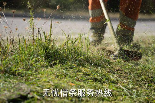 无忧借条服务热线