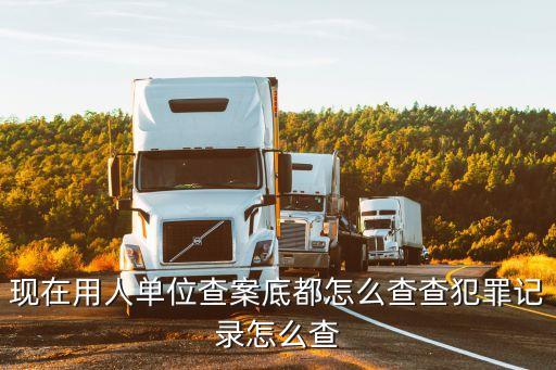 现在用人单位查案底都怎么查查犯罪记录怎么查