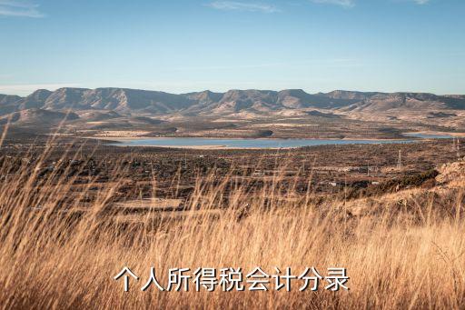 个人所得税会计分录