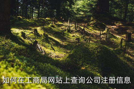 如何在工商局网站上查询公司注册信息