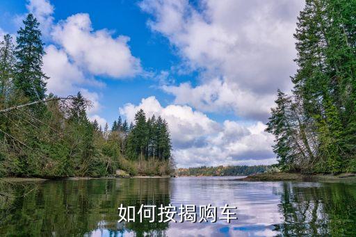 如何按揭购车