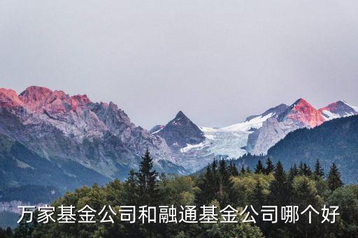 万家基金公司和融通基金公司哪个好