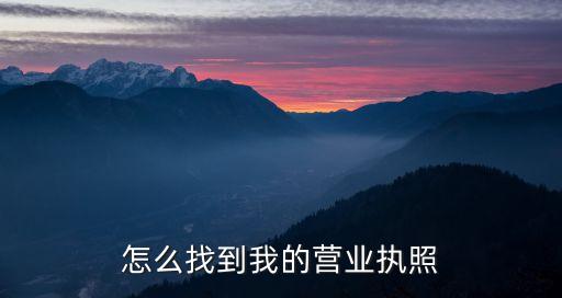 怎么找到我的营业执照