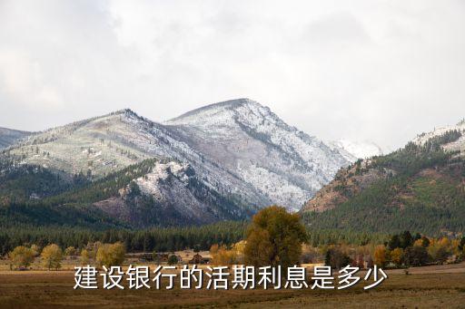 建行活期利率，我国建设银行活期存款利率