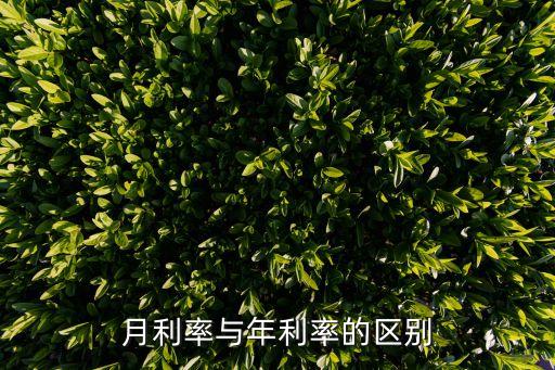 月利率与年利率的区别