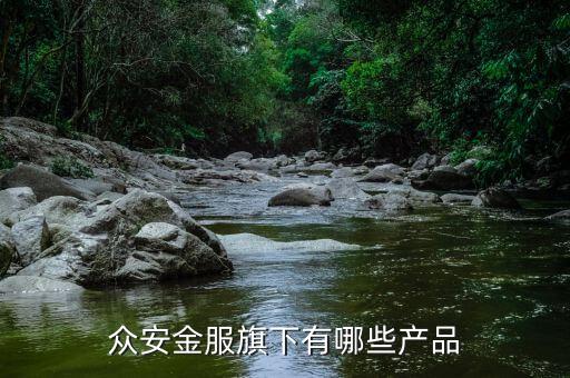 众安金融，众安金服旗下有哪些产品