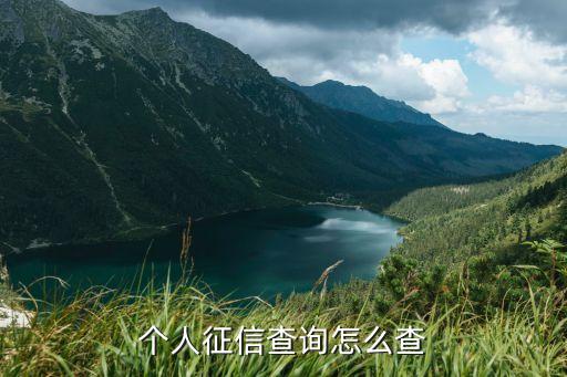 个人征信查询怎么查
