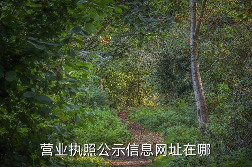营业执照公示信息网址在哪