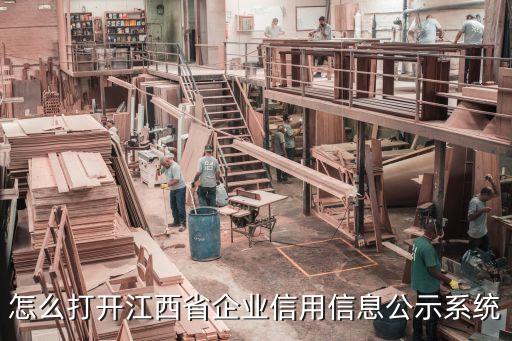 怎么打开江西省企业信用信息公示系统
