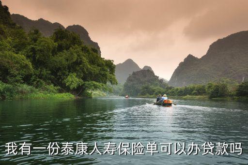 我有一份泰康人寿保险单可以办贷款吗
