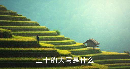 二十的大写是什么