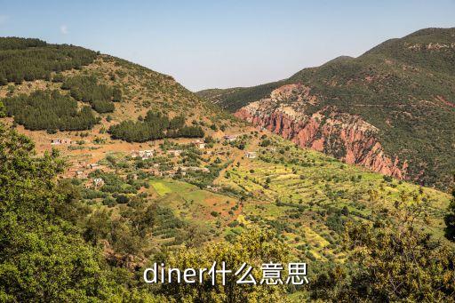 diner什么意思
