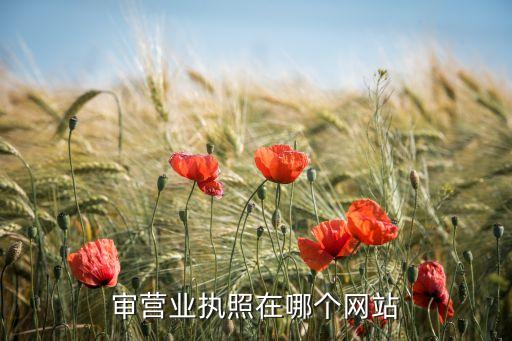 审营业执照在哪个网站