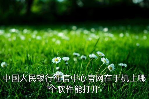 征信中心app官方下载，中国人民银行征信中心官网在手机上哪个软件能打开