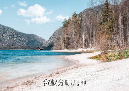 贷款分哪几种