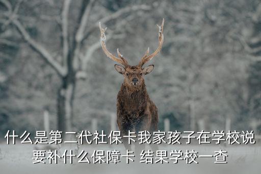 什么是第二代社保卡我家孩子在学校说要补什么保障卡 结果学校一查