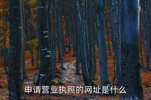 申请营业执照的网址是什么