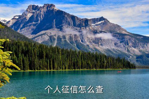 个人征信怎么查
