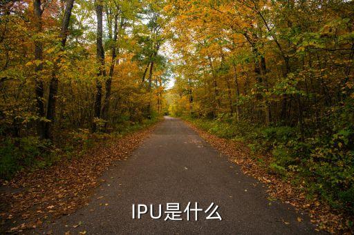 IPU是什么