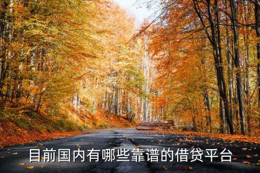 目前国内有哪些靠谱的借贷平台