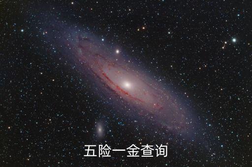 五险一金查询