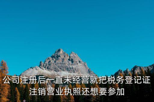 公司注册后一直未经营就把税务登记证注销营业执照还想要参加