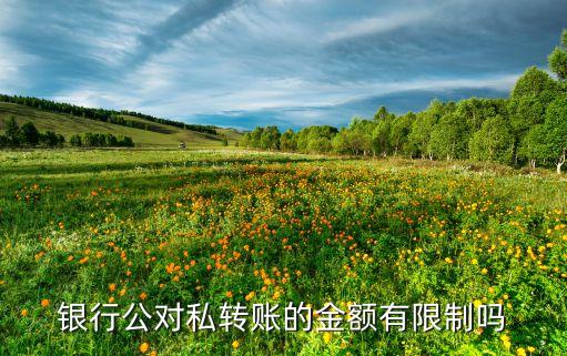 公转私限额，银行公对私转账的金额有限制吗