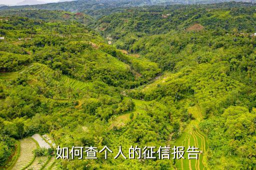 个人征信报告怎么查，怎么查个人征信记录