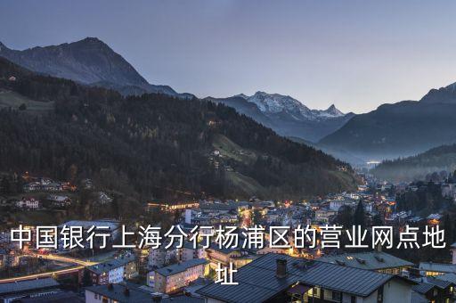 中国银行上海分行杨浦区的营业网点地址