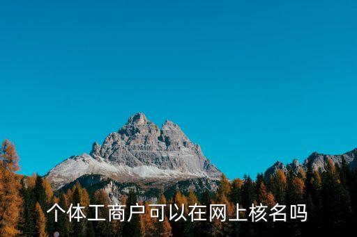 个体工商户可以在网上核名吗