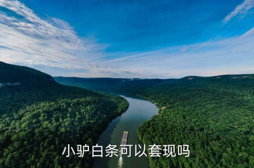 小驴白条，小驴白条额度出来了就算是我借款了吗