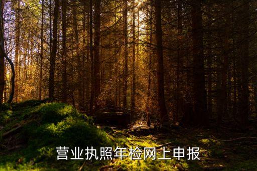营业执照年检网上申报