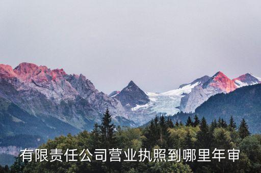 有限责任公司营业执照到哪里年审