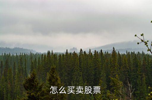 怎么买卖股票