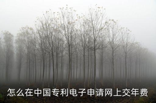 怎么在中国专利电子申请网上交年费