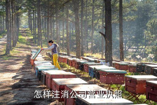 怎样注消公司营业执照