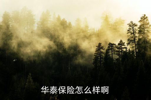华泰保险怎么样啊