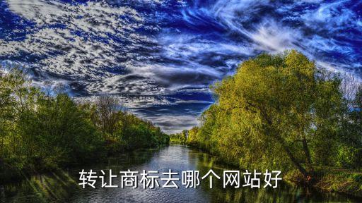 转让商标去哪个网站好