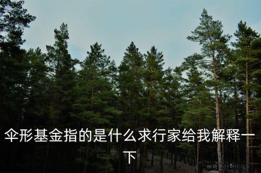 伞形基金指的是什么求行家给我解释一下