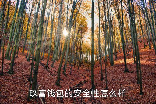 玖富钱包，玖富钱包的安全性怎么样