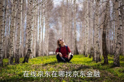 在线京东在哪找京东金融