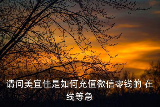 请问美宜佳是如何充值微信零钱的 在线等急