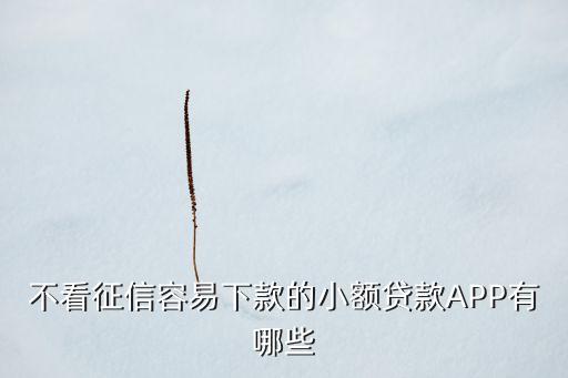 不看征信容易下款的小额贷款APP有哪些