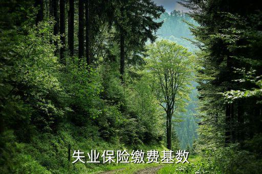 失业保险缴费基数