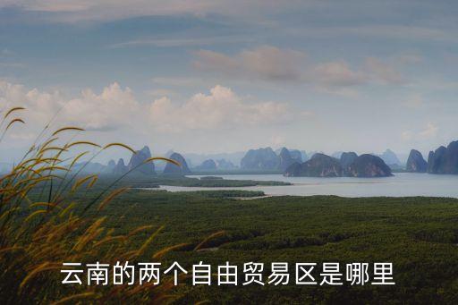 云南的两个自由贸易区是哪里
