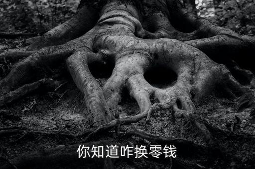 你知道咋换零钱