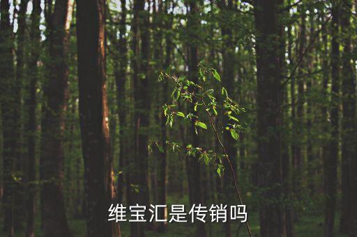 维宝汇是传销吗