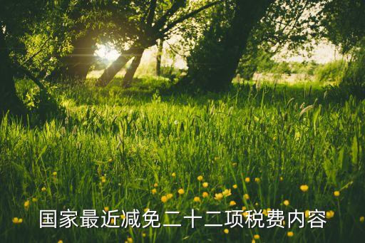 国家最近减免二十二项税费内容